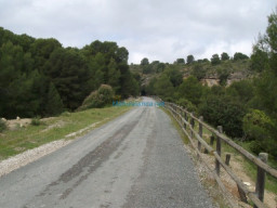 Fotos Noticias 2011